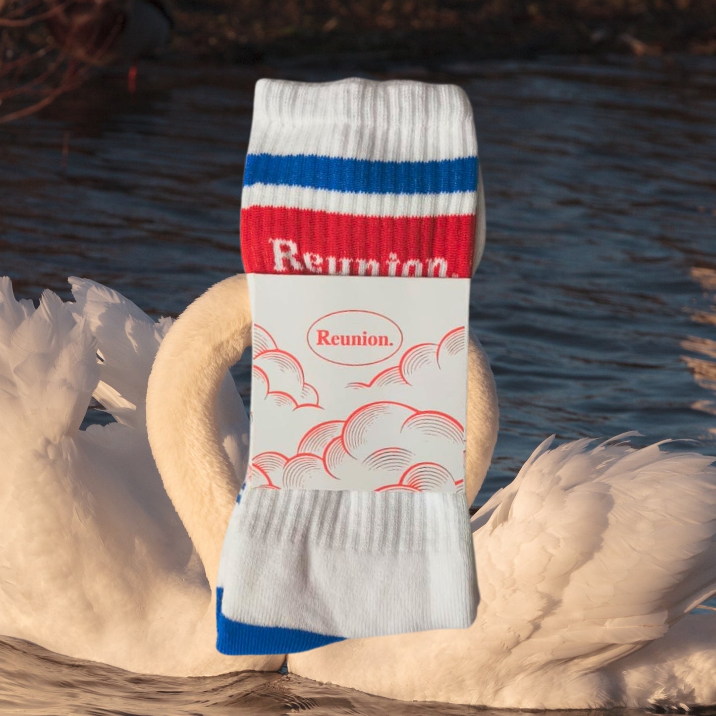 Soul Mate Socks - Blue/Red