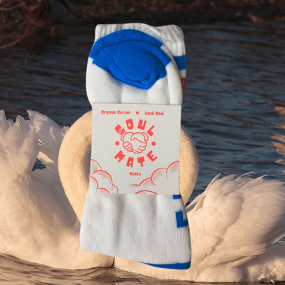 Soul Mate Socks - Blue/Red